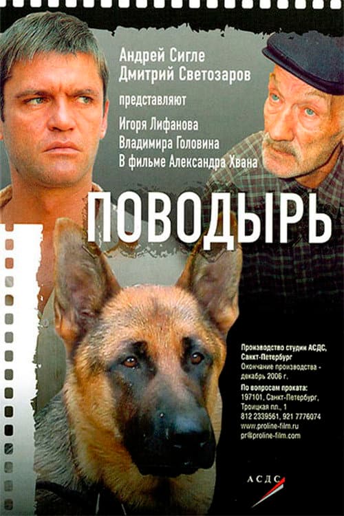 Постер: Поводырь