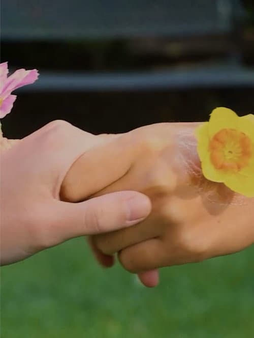 Постер: Mano de Flor