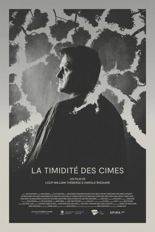 Постер: La Timidité des Cimes