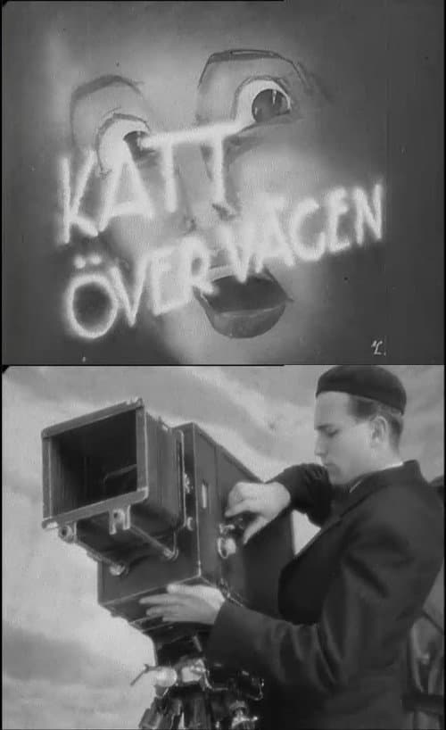 Постер: Katt över vägen