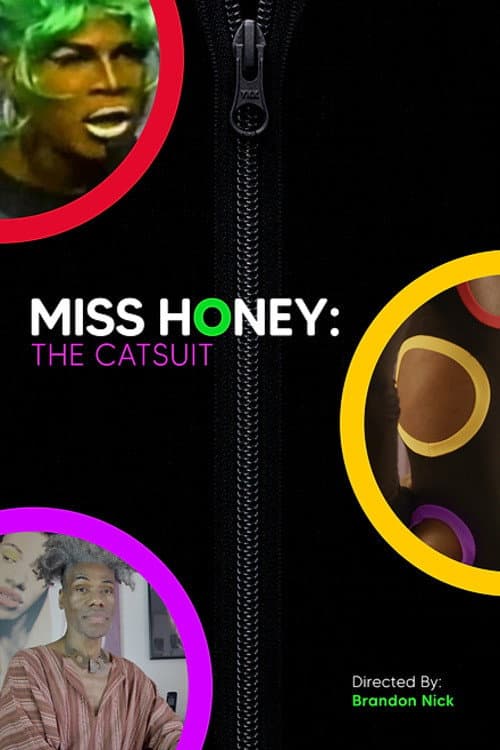 Постер: Miss Honey: The Catsuit