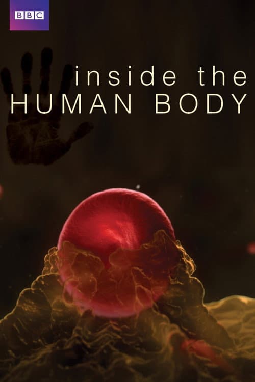 Постер: Inside the Human Body