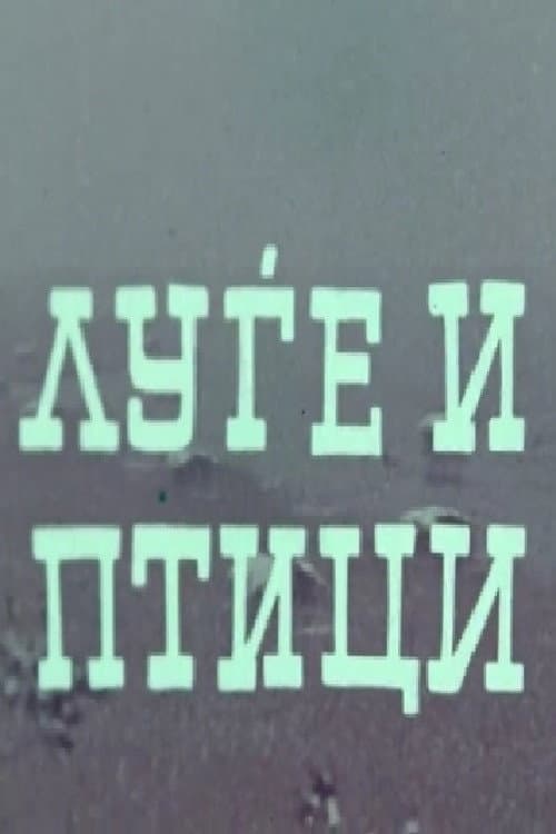 Постер: Луѓе и птици