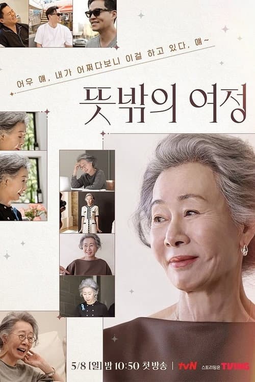 Постер: 뜻밖의 여정