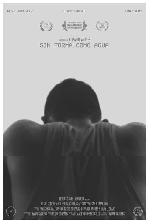 Постер: Sin Forma, Como Agua