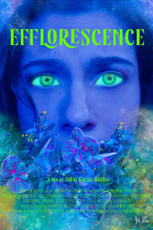 Постер: Efflorescence