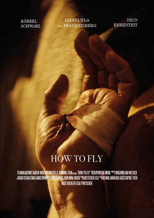 Постер: How to Fly