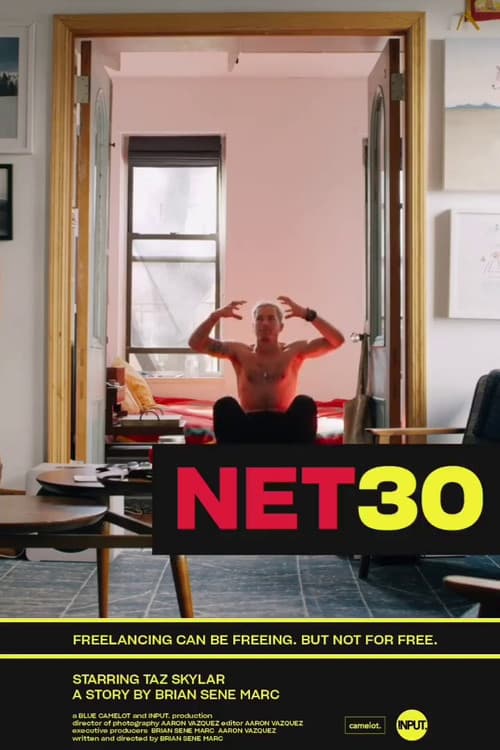 Постер: NET30