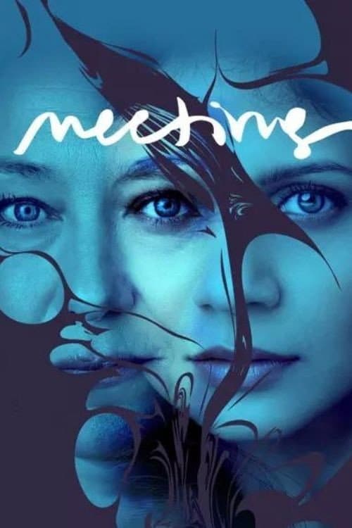 Постер: Meeting
