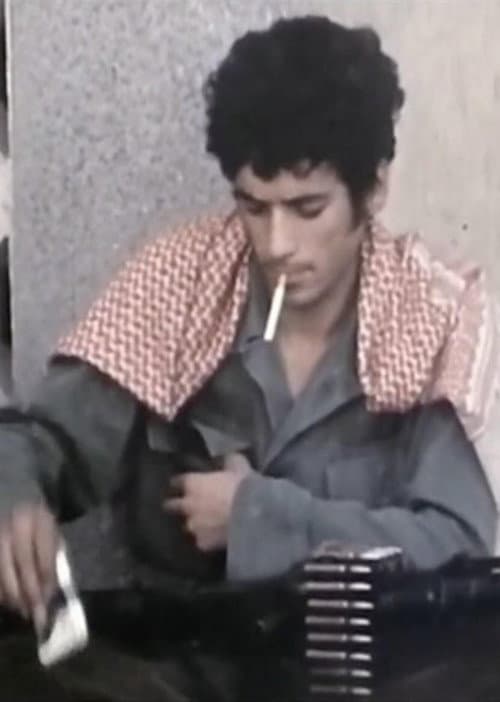 Постер: Le Liban dans la tourmente