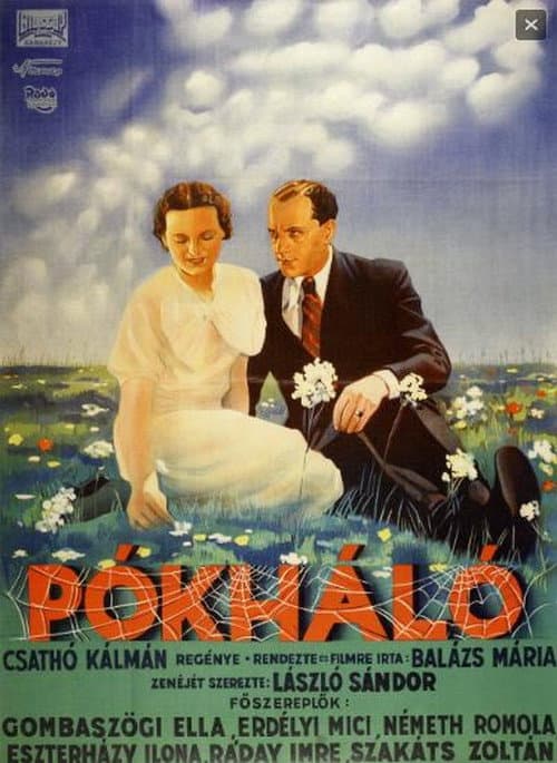 Постер: Pókháló