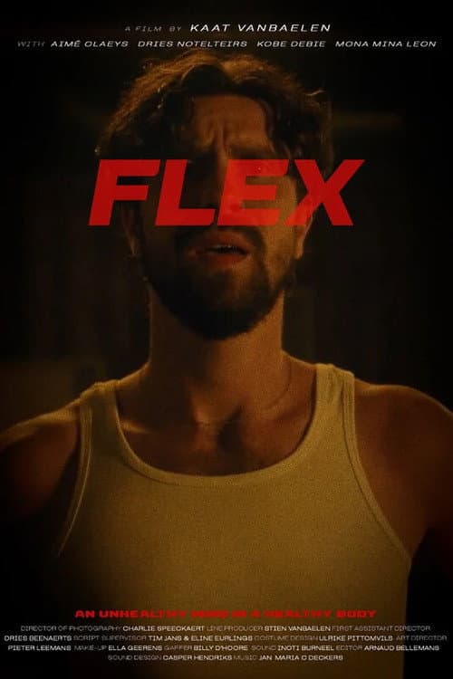 Постер: Flex