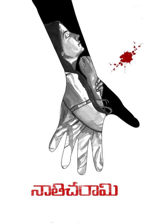 Постер: నాతిచరామి