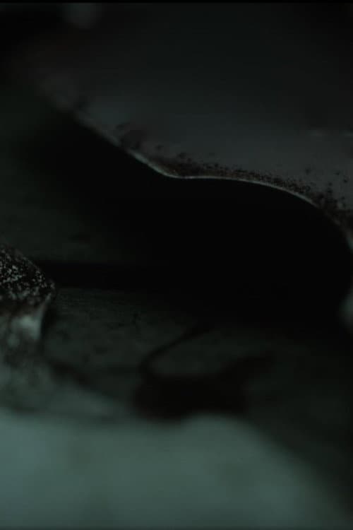 Постер: To Those Who Speak Waves