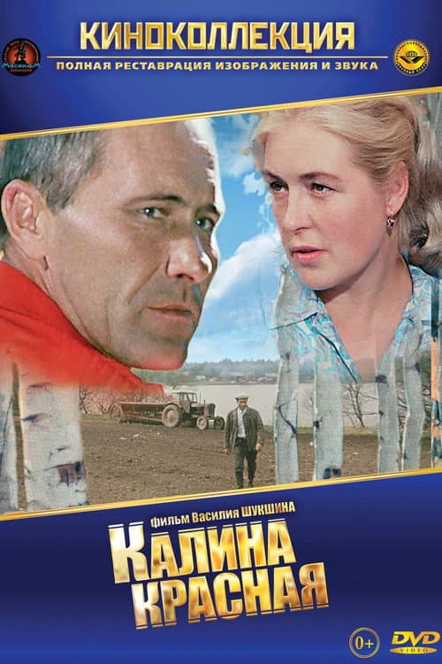 Кадр 3