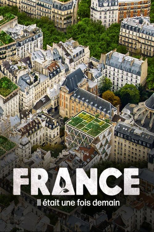 Постер: France, il était une fois demain