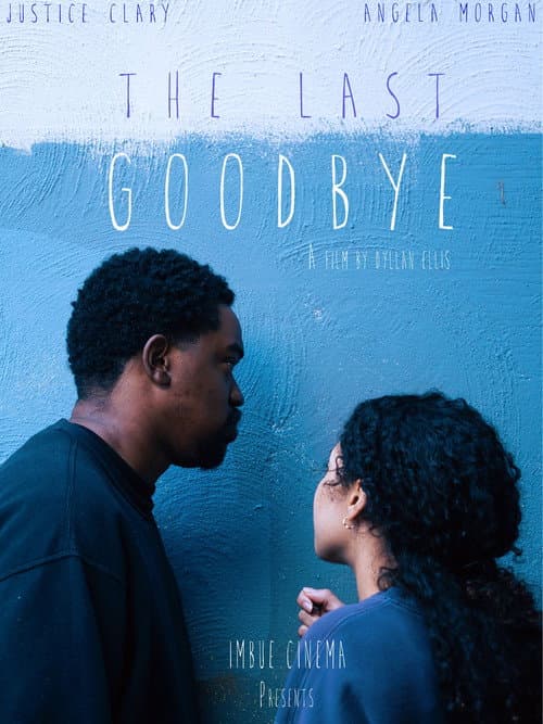 Постер: The Last Goodbye