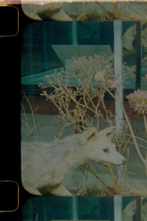 Постер: Herbaria