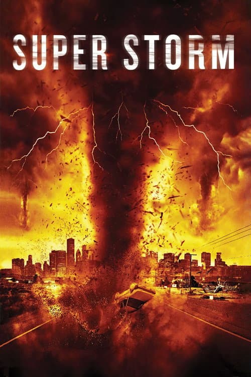 Постер: Mega Cyclone