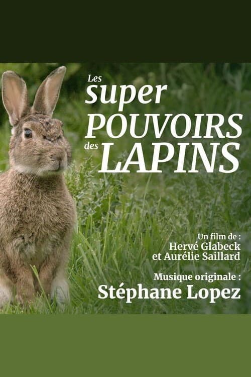 Постер: Les super pouvoirs du lapin