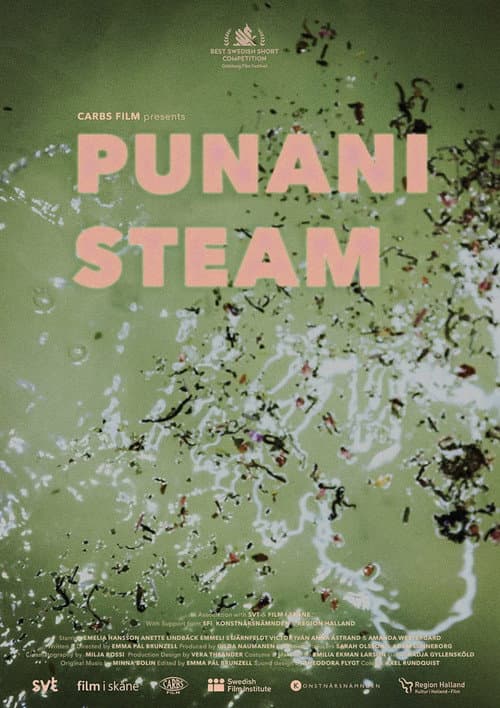 Постер: Punani Steam