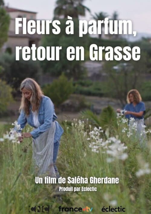Постер: Fleurs à parfum, retour en Grasse