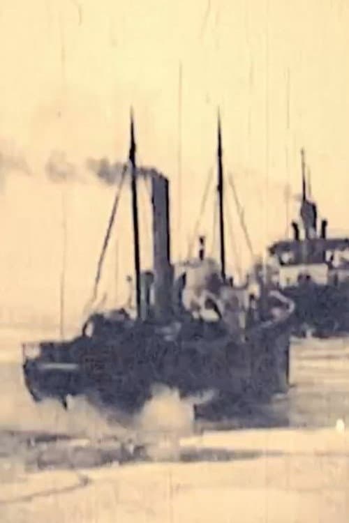 Постер: Ledlauzis Krišjānis Valdemārs