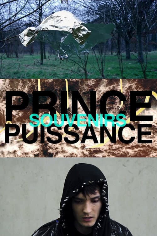Постер: Prince, puissance, souvenirs