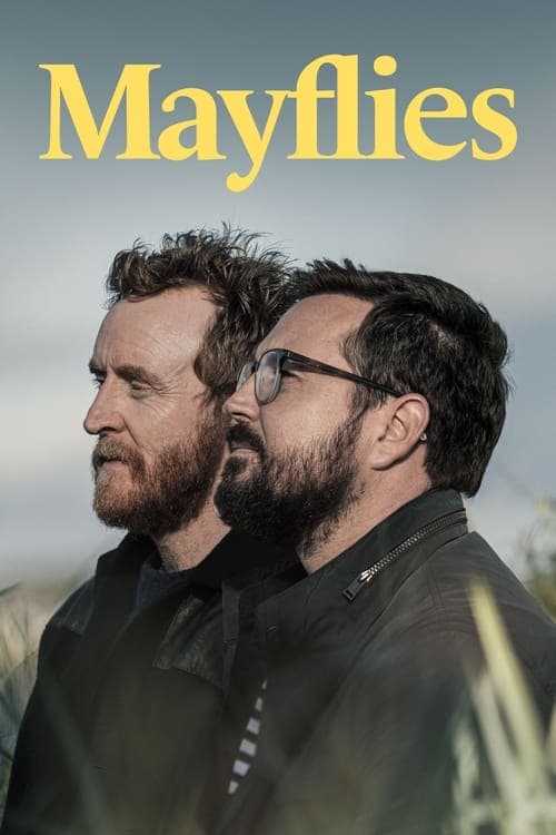 Постер: Mayflies