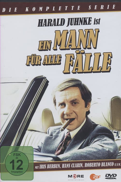 Постер: Ein Mann für alle Fälle