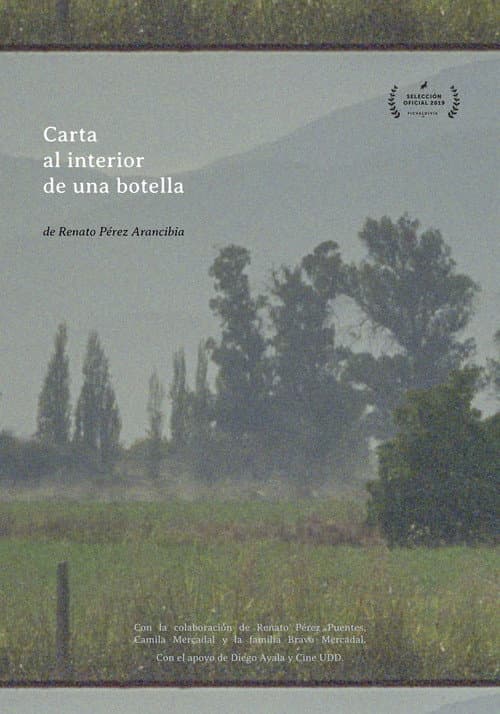 Постер: Carta al Interior de una botella