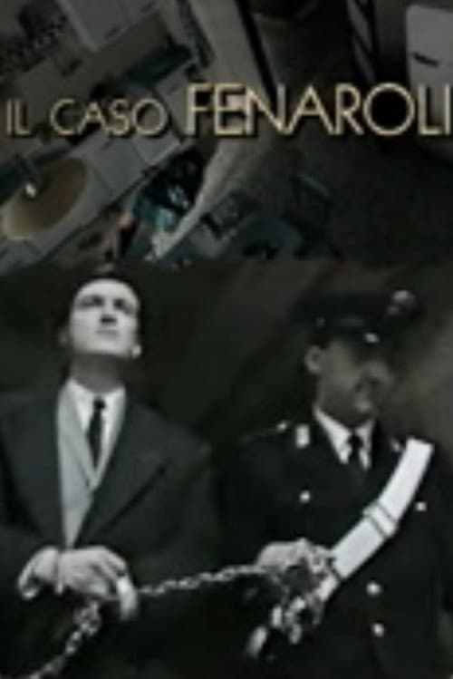 Постер: Il caso Fenaroli