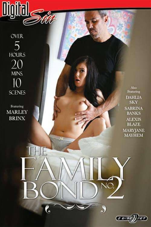 Постер: The Family Bond 2
