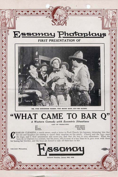 Постер: What Came to Bar Q