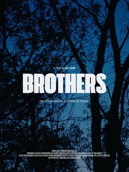 Постер: Brothers