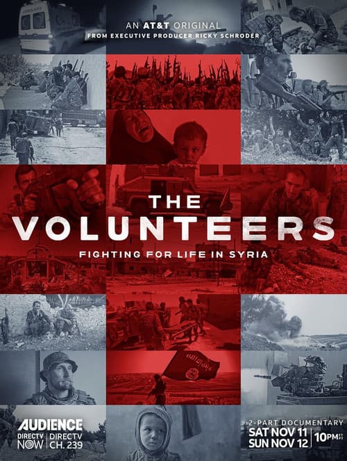Постер: The Volunteers