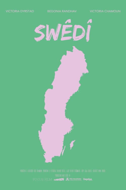 Постер: Swêdî