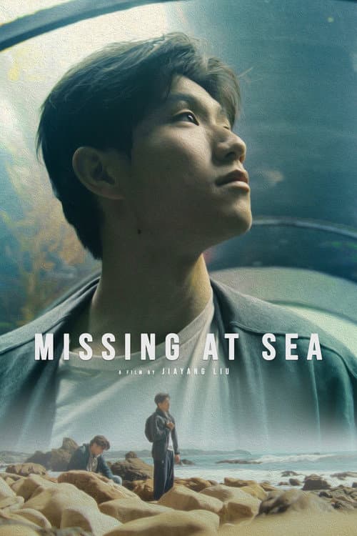 Постер: Missing at Sea