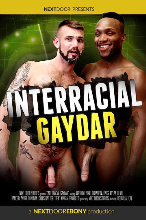 Постер: Interracial Gaydar