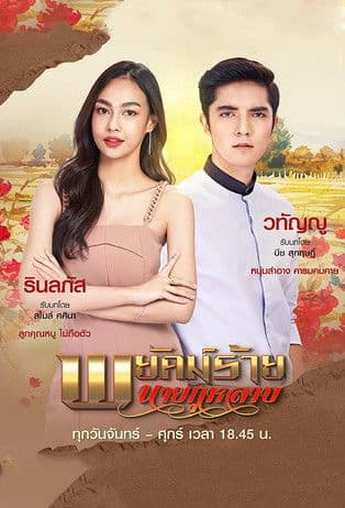 Постер: พยัคฆ์ร้ายนายกุหลาบ