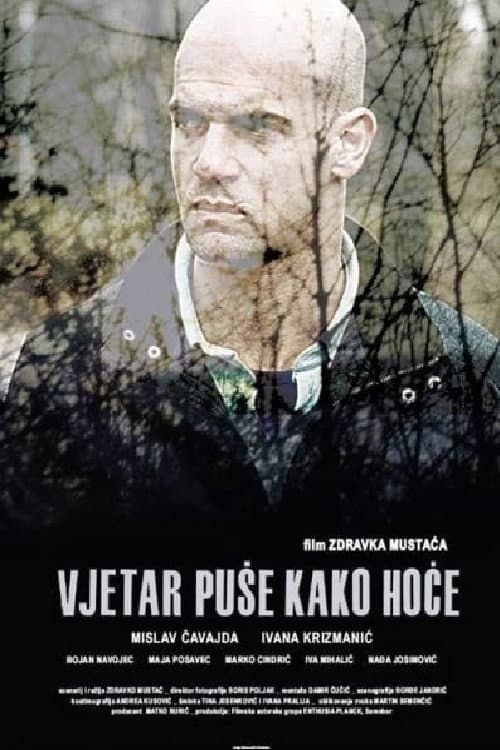 Постер: Vjetar puše kako hoće