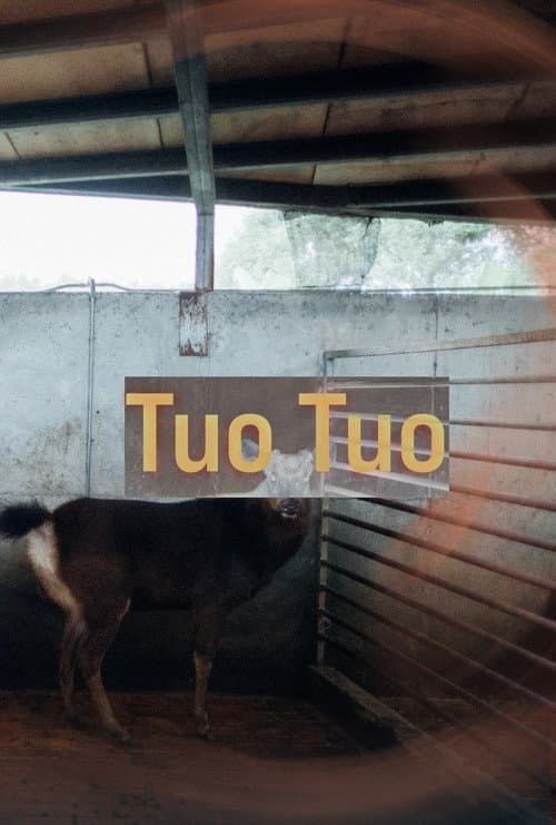 Постер: 陀陀