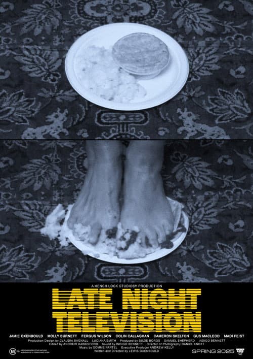 Постер: Late Night Television