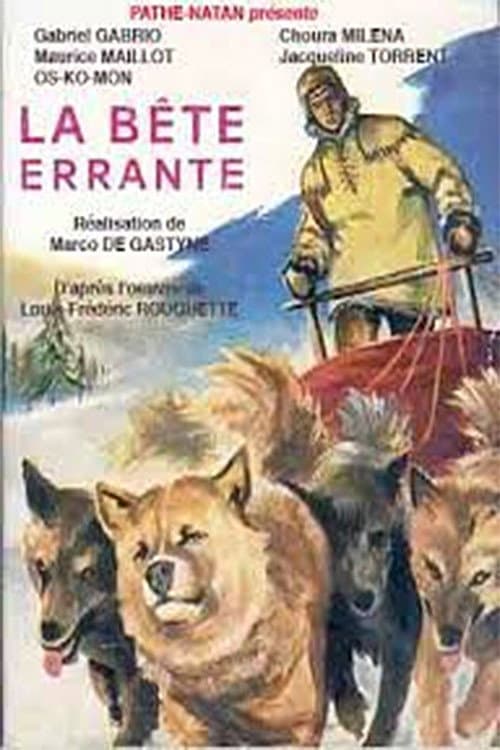 Постер: La Bête errante