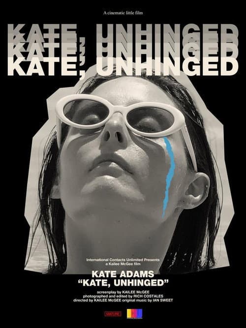 Постер: Kate, Unhinged
