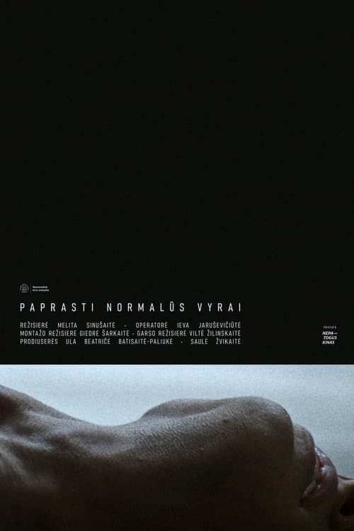 Постер: Paprasti normalūs vyrai