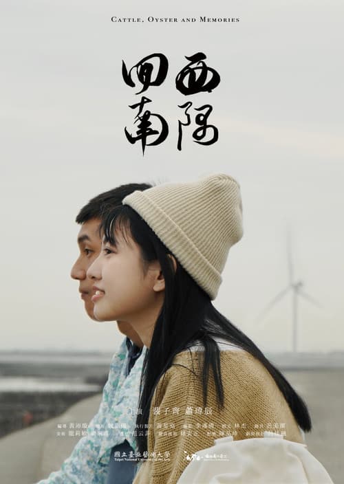Постер: 回西南隅