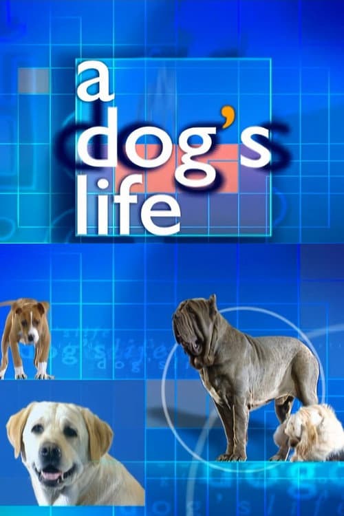 Постер: A Dog's Life