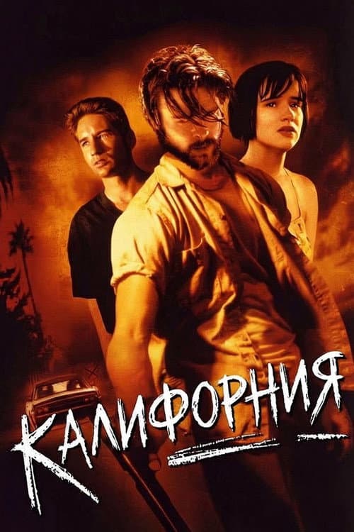 Кадр 2