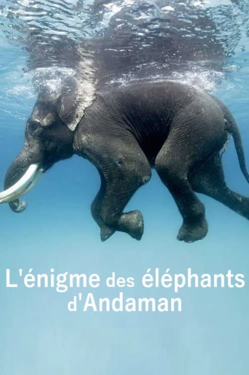 Постер: L'énigme des éléphants d'Andaman